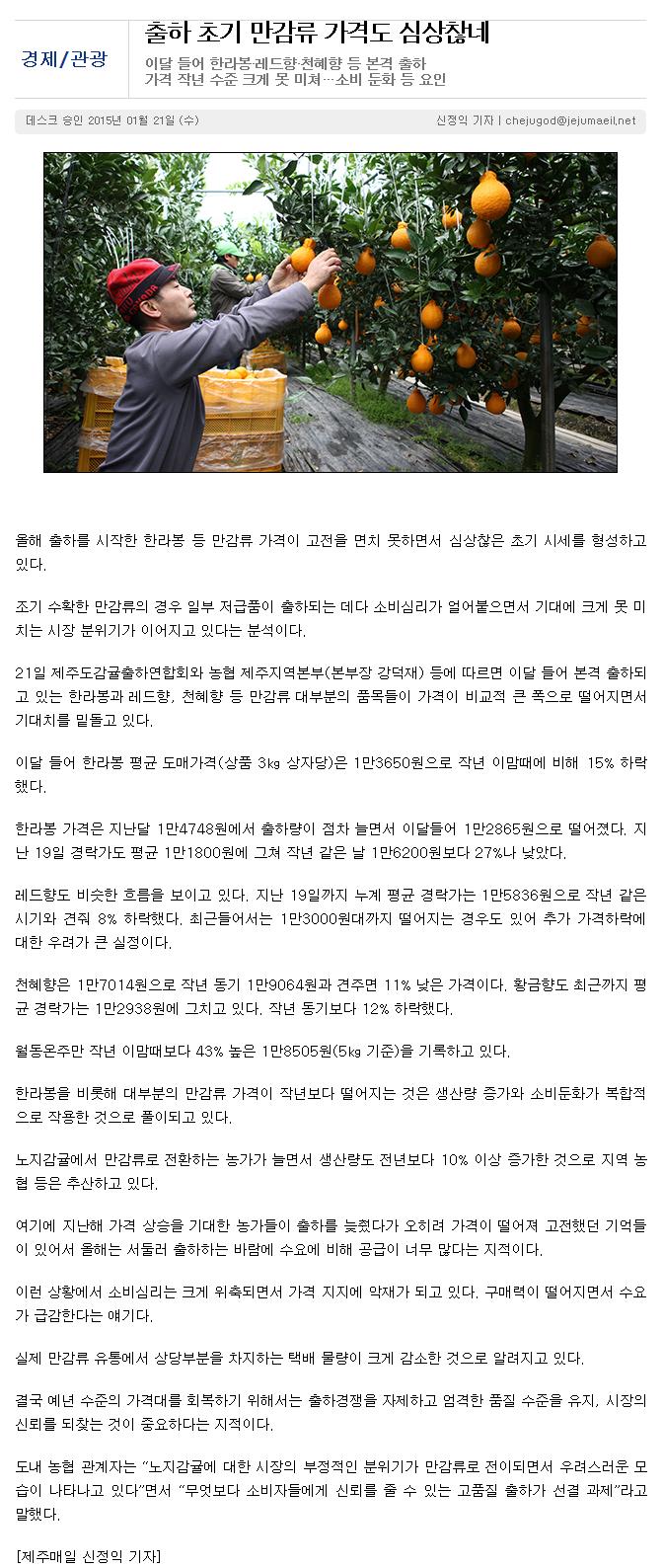 출하 초기 만감류 가격도 심상찮네