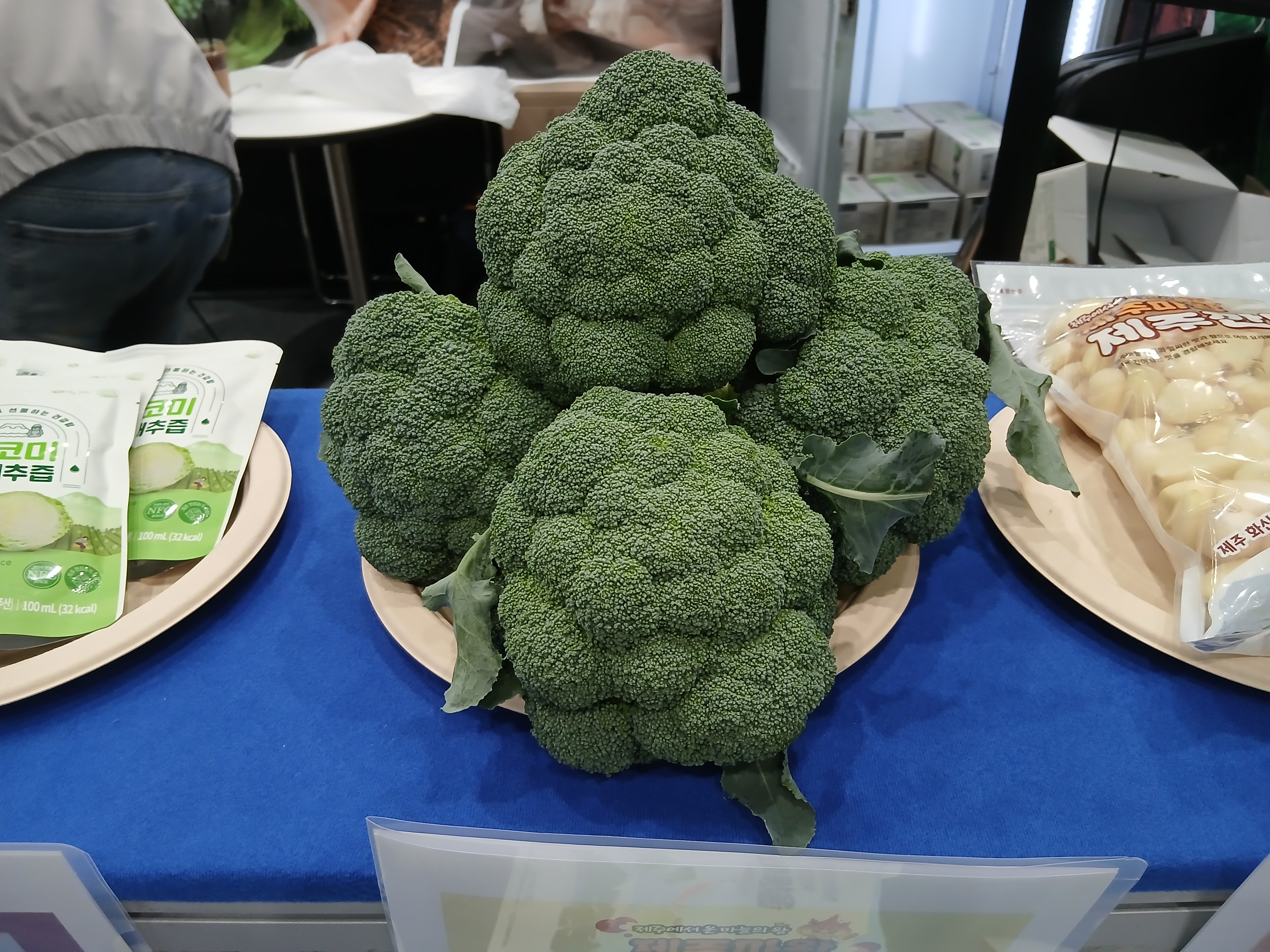 KakaoTalk_20251114_163612197_06.jpg