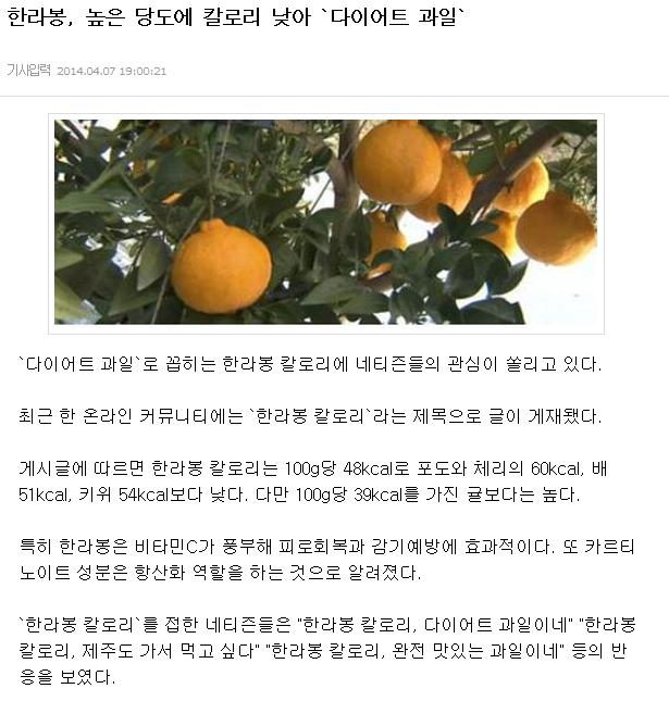 한라봉, 높은 당도에 칼로리 낮아 '다이어트 과일'