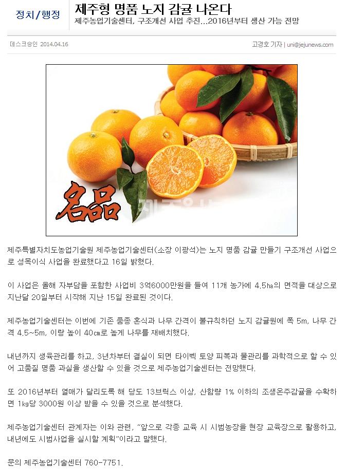 제주형 명품 노지 감귤 나온다