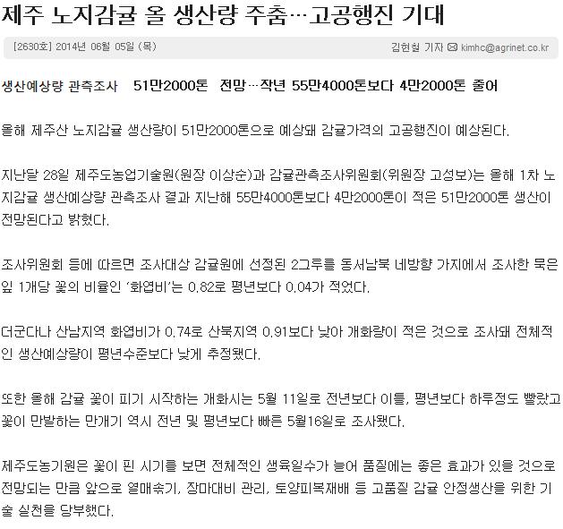 제주 노지감귤 올 생산량 주춤…고공행진 기대