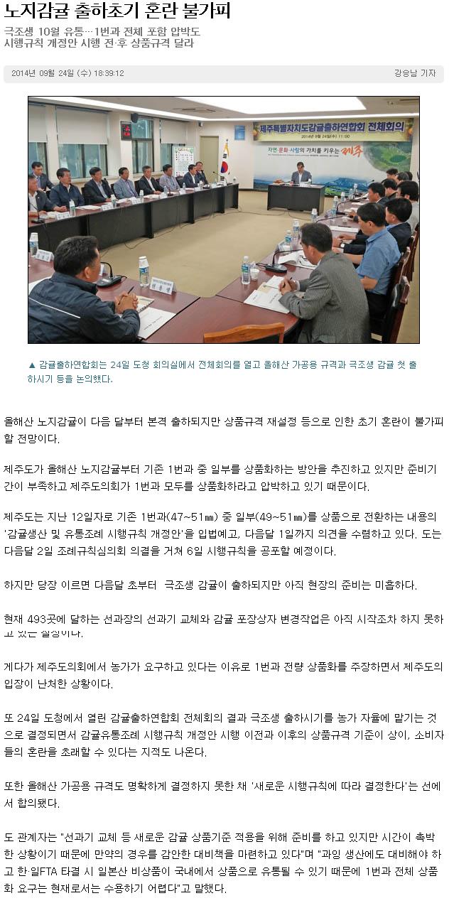 노지감귤 출하초기 혼란 불가피