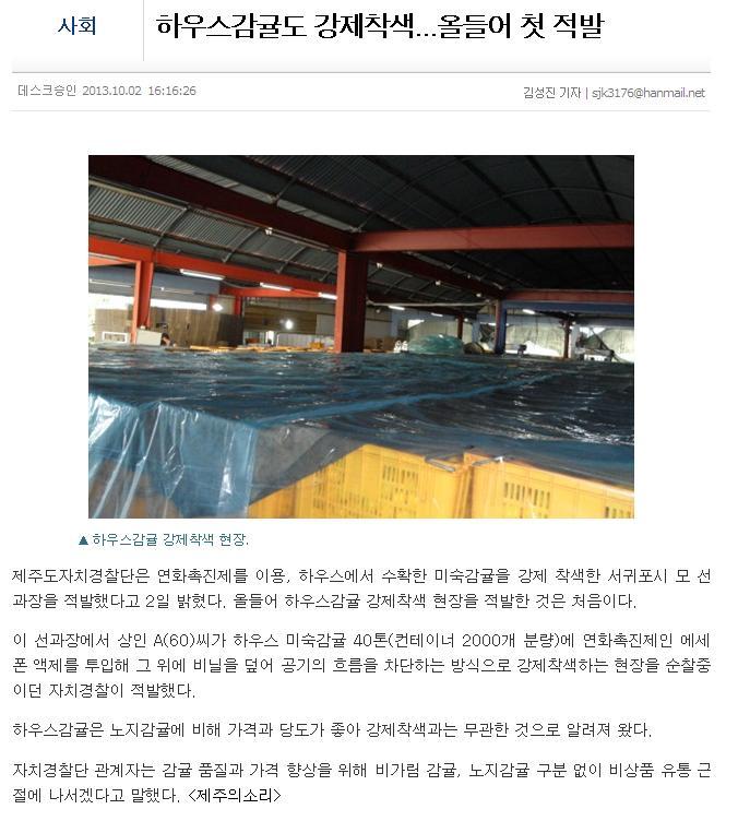하우스감귤도 강제착색...올들어 첫 적발