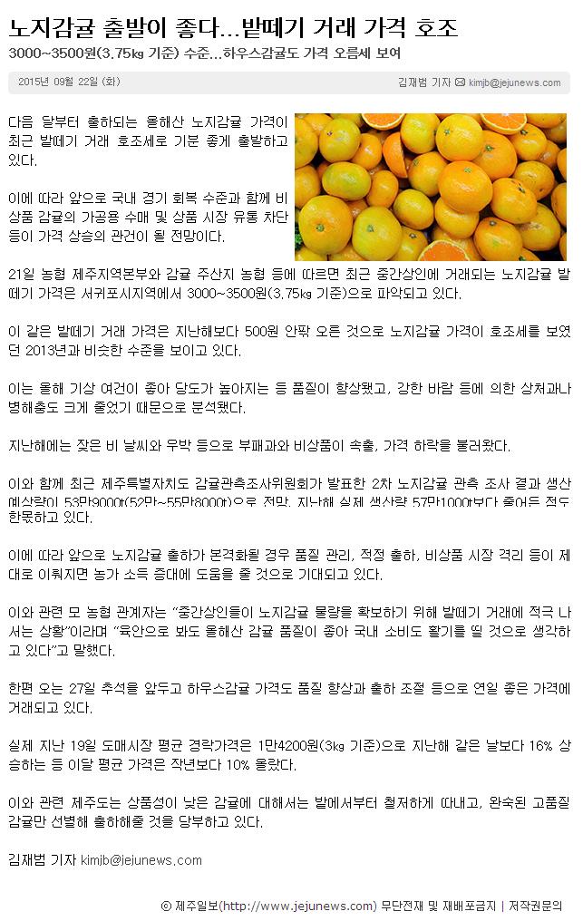 노지감귤 출발이 좋다... 밭떼기 거래 가격 호조