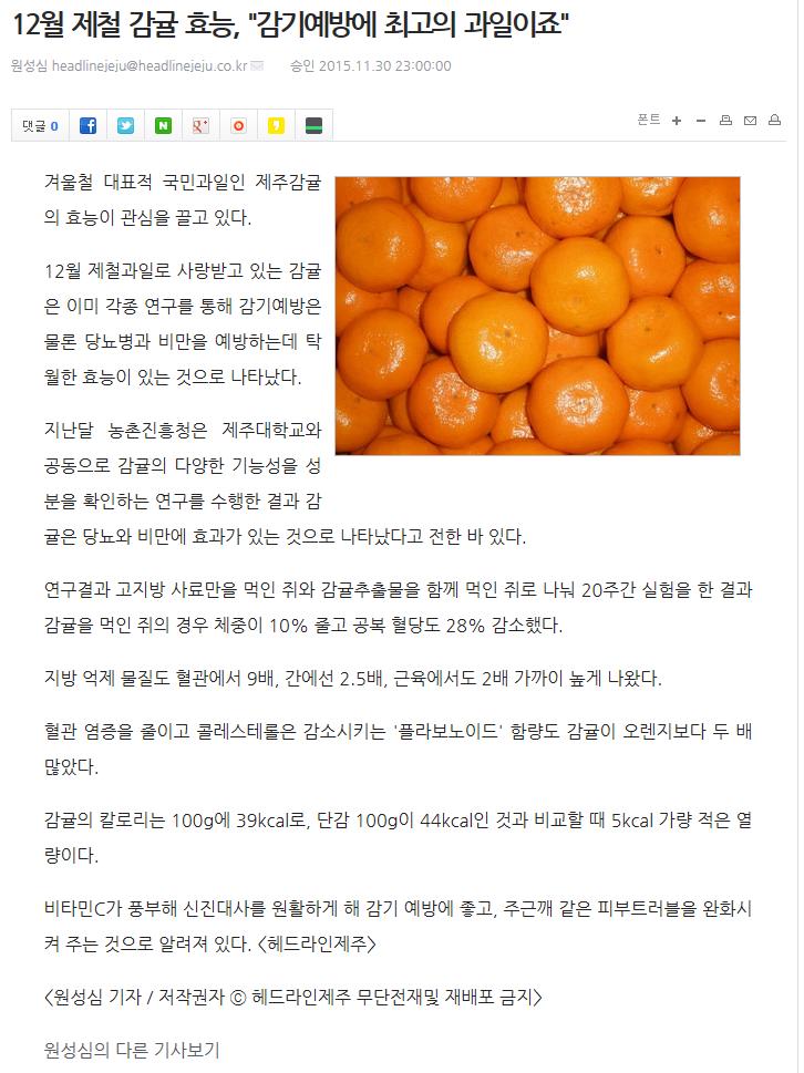 12월 제철 감귤 효능