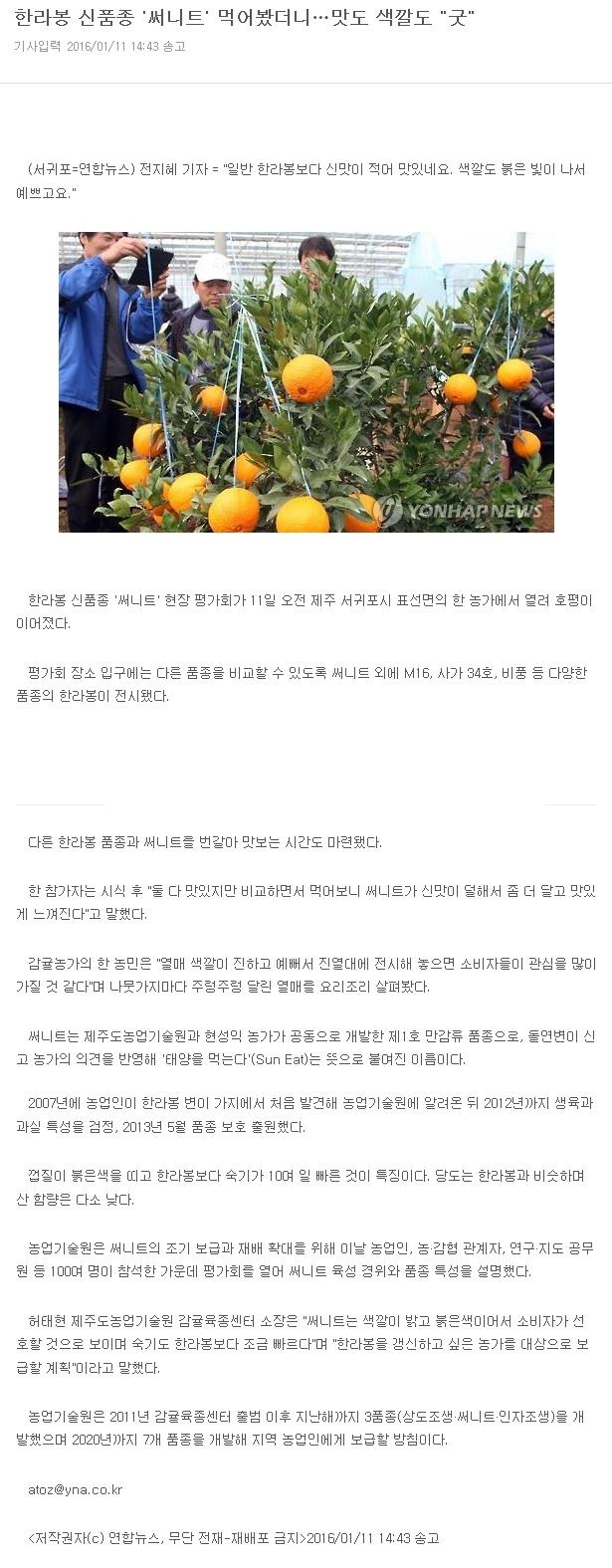 한라봉 신품종