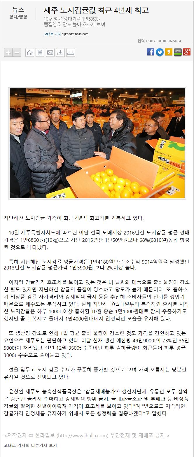 제주 노지감귤 값 최근 4년새 최고