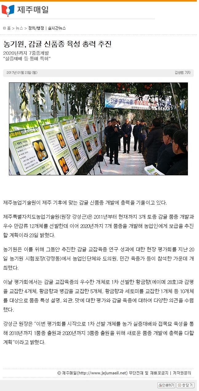 농기원,감귤 신품종 육성 총력 추진
