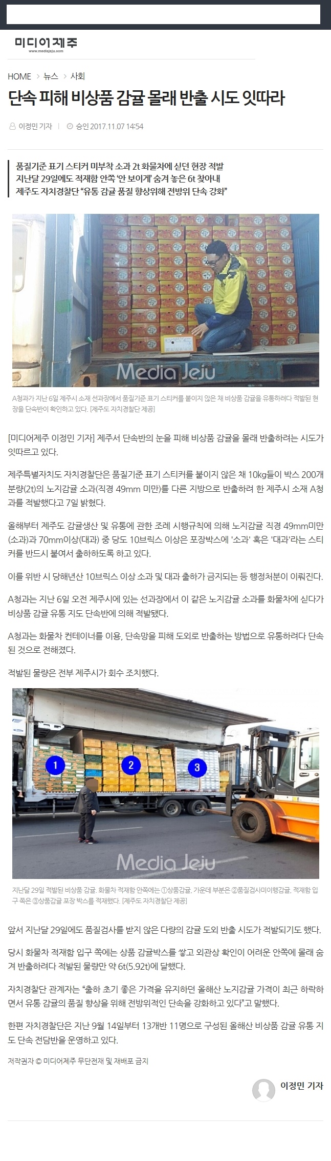단속피해 비상품 감귤 몰래 반출 시도 잇따라