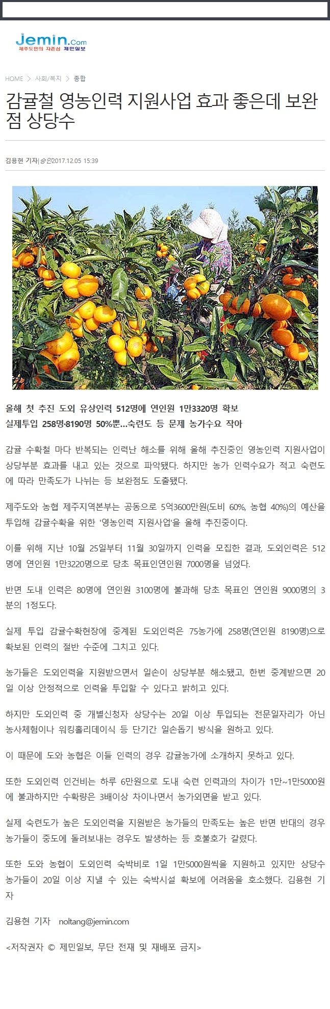 감귤철 영농인력 지원사업 효과 좋은데, 보완점 상당수