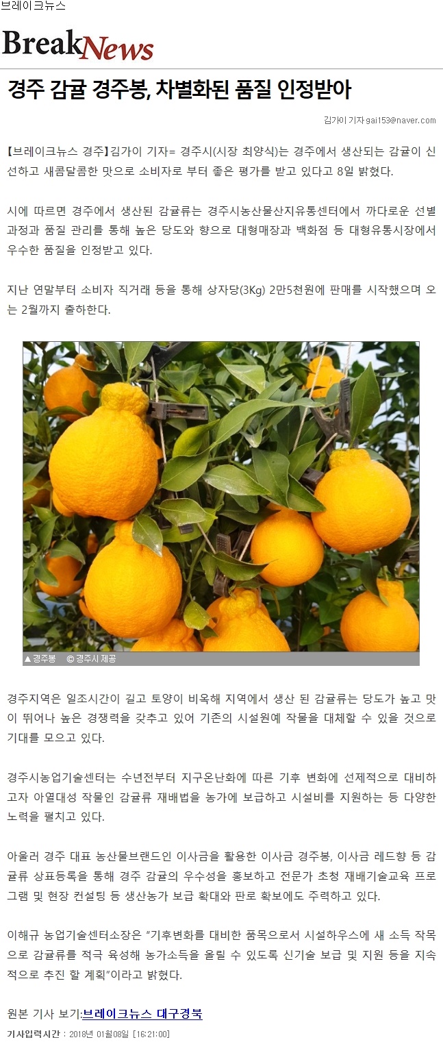 경주, 감귤 경주봉,차별화된 품질 인정받아.