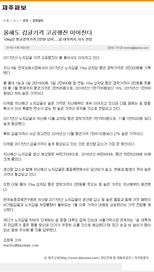올해도 감귤가격 고공행진 이어진다.