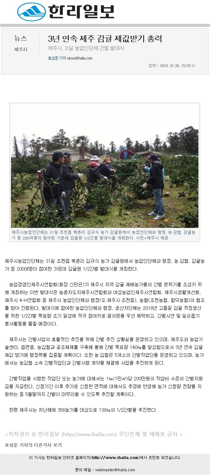 3년 연속 제주감귤 제값받기 총력