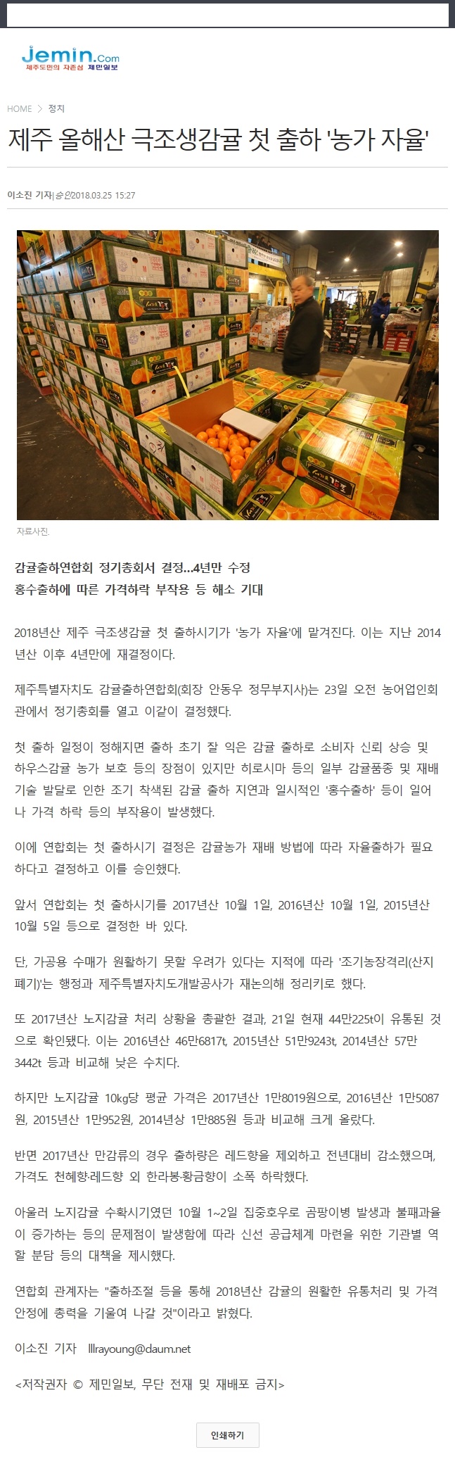 제주 올해산 극조생감귤 첫출하 '농가 자율'