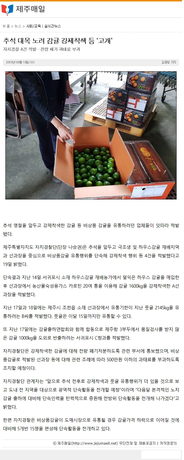 추석대목 노려 감귤 강제착색 등 '고개'