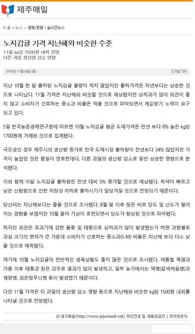 노지감귤 가격 지난해와 비슷한 수준