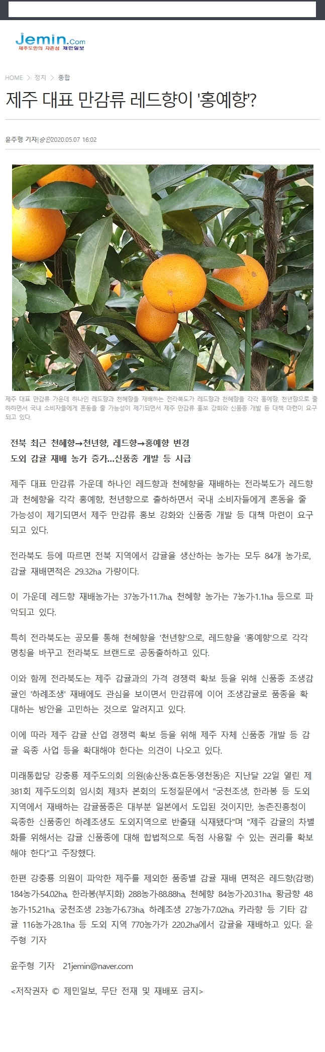 제주 대표 만감류 레드향이 '홍예향'?