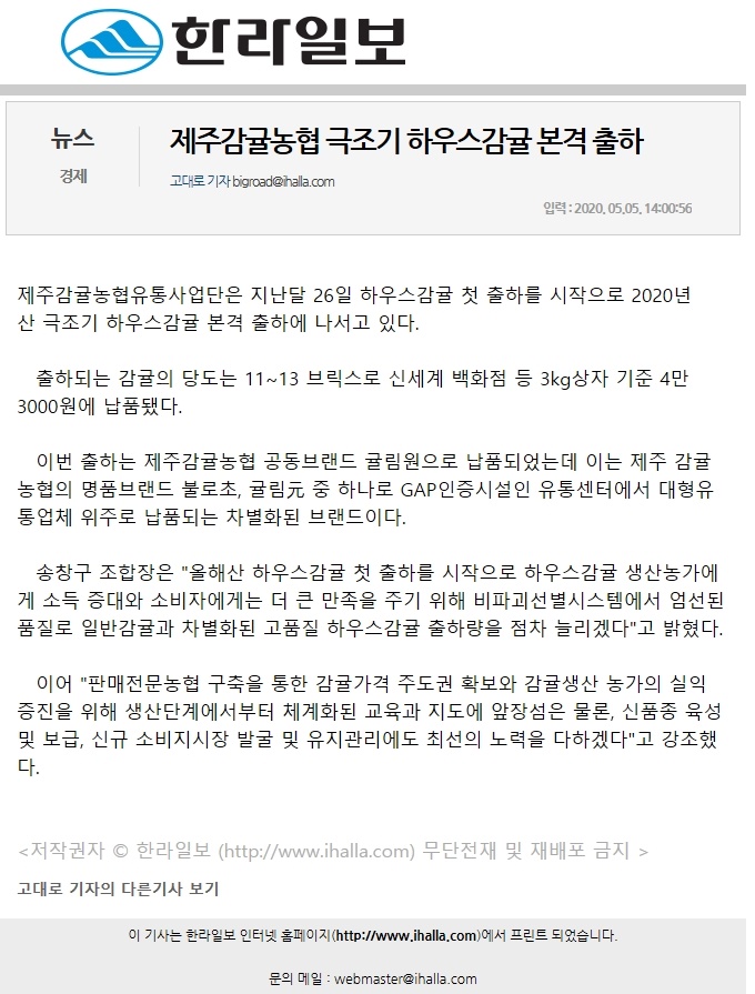 올해산 제주하우스감귤 본격 출하
