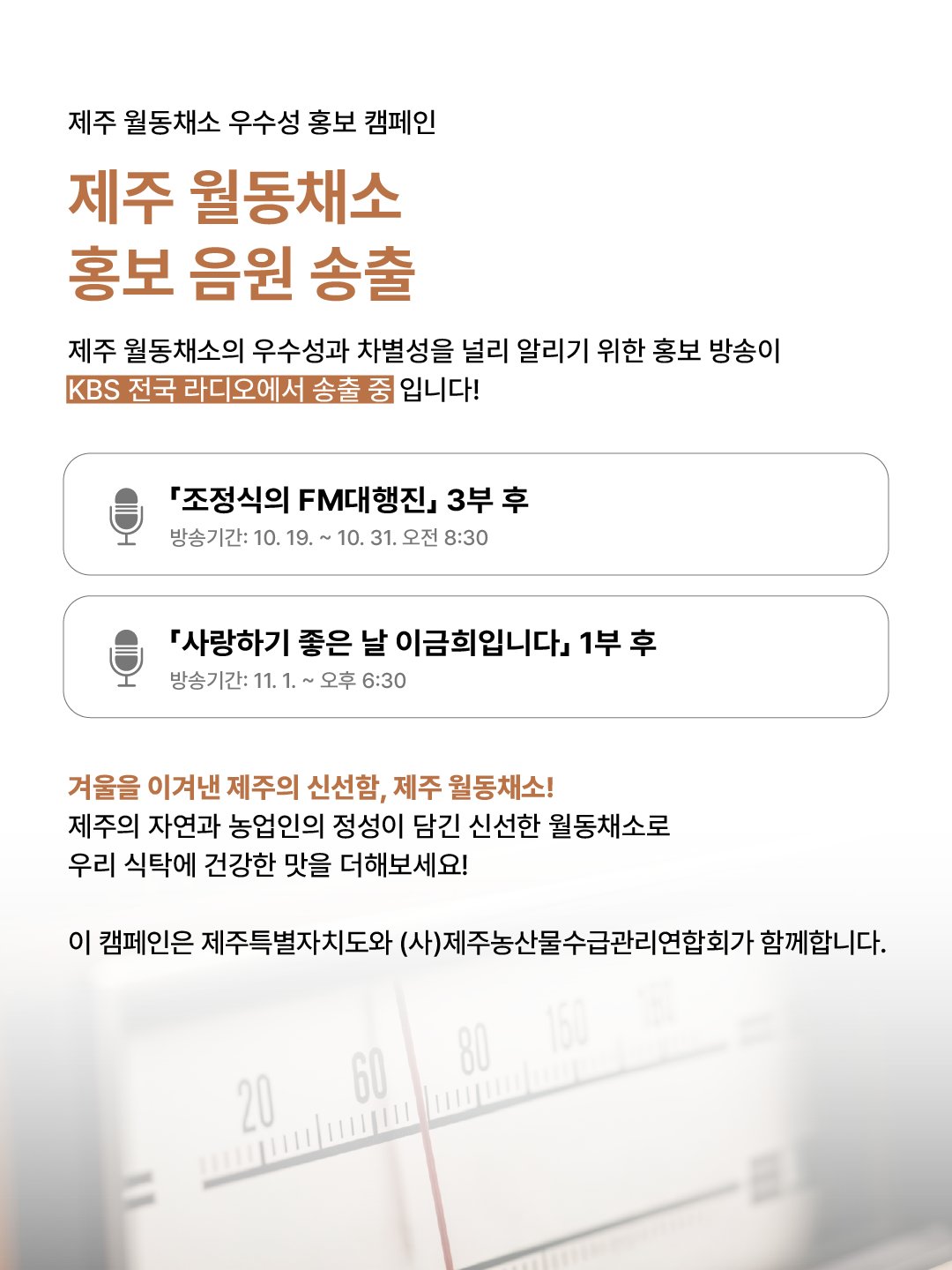 제주 월동채소 홍보 음원 송출