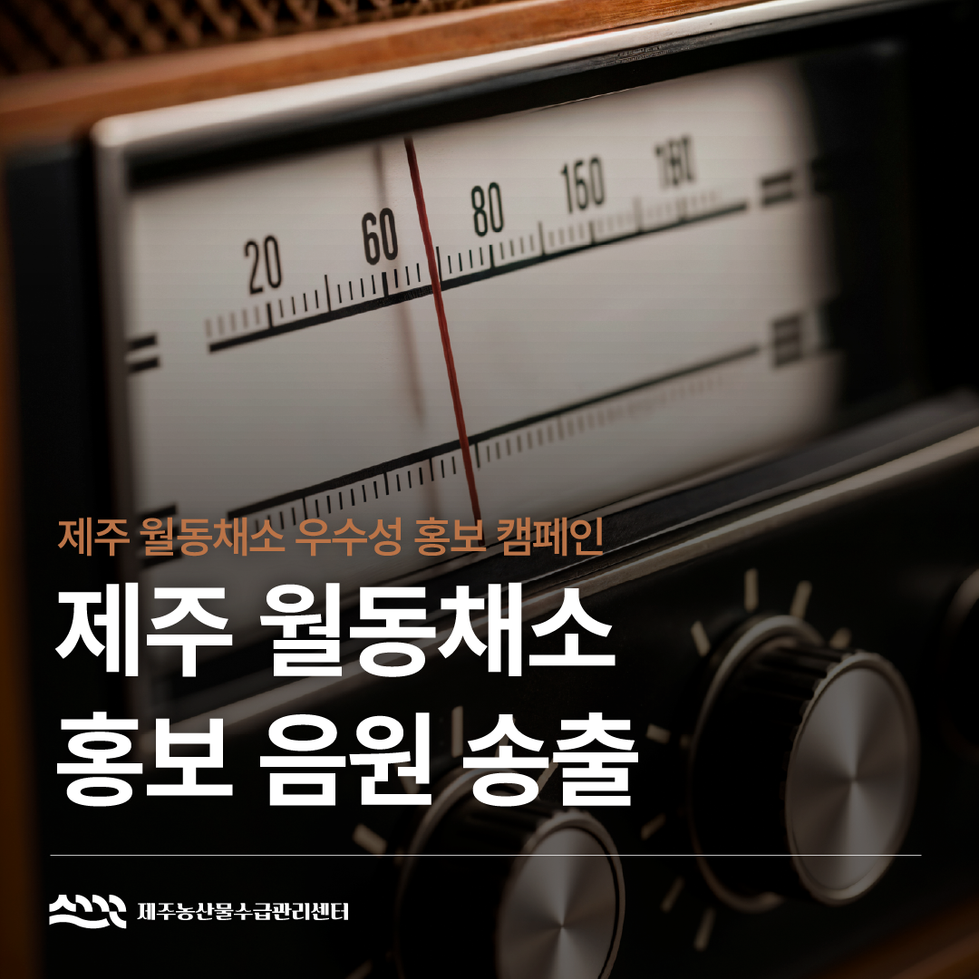 제주 월동채소 홍보 음원 송출