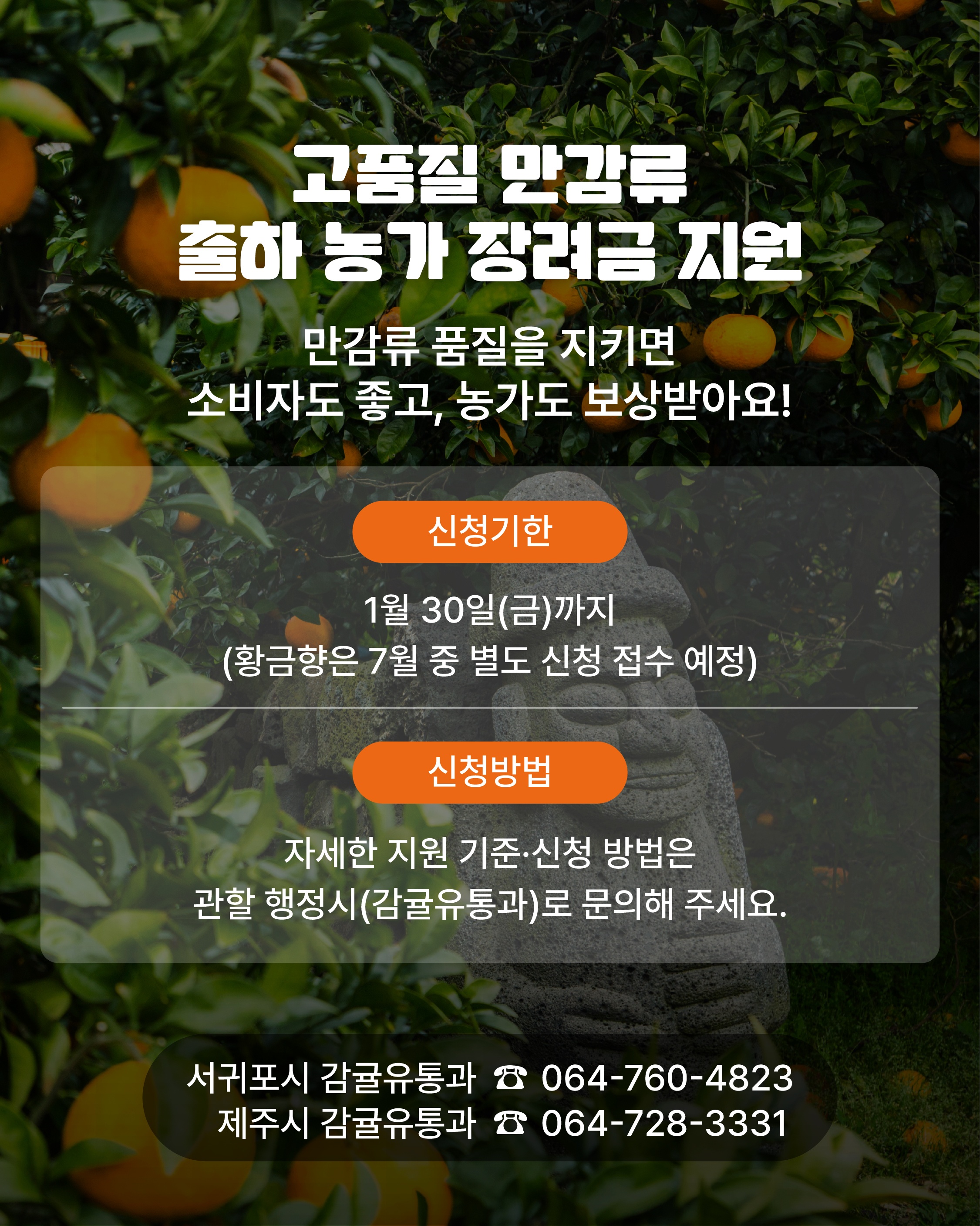 2026년도 고품질 만감류 출하 농가 장려금 지원 안내