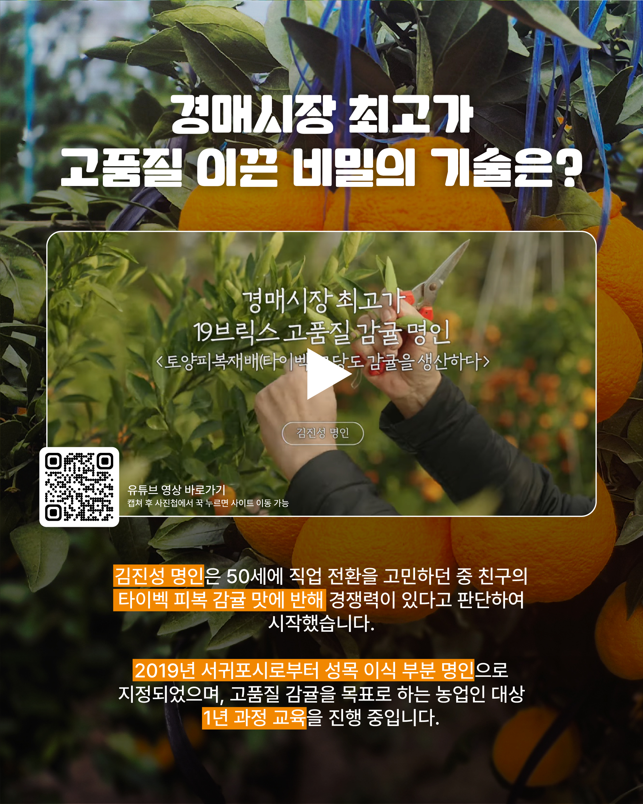 [16년차, 김진성 명인]경매시장 최고가 고품질 이끈 비밀의 기술은?