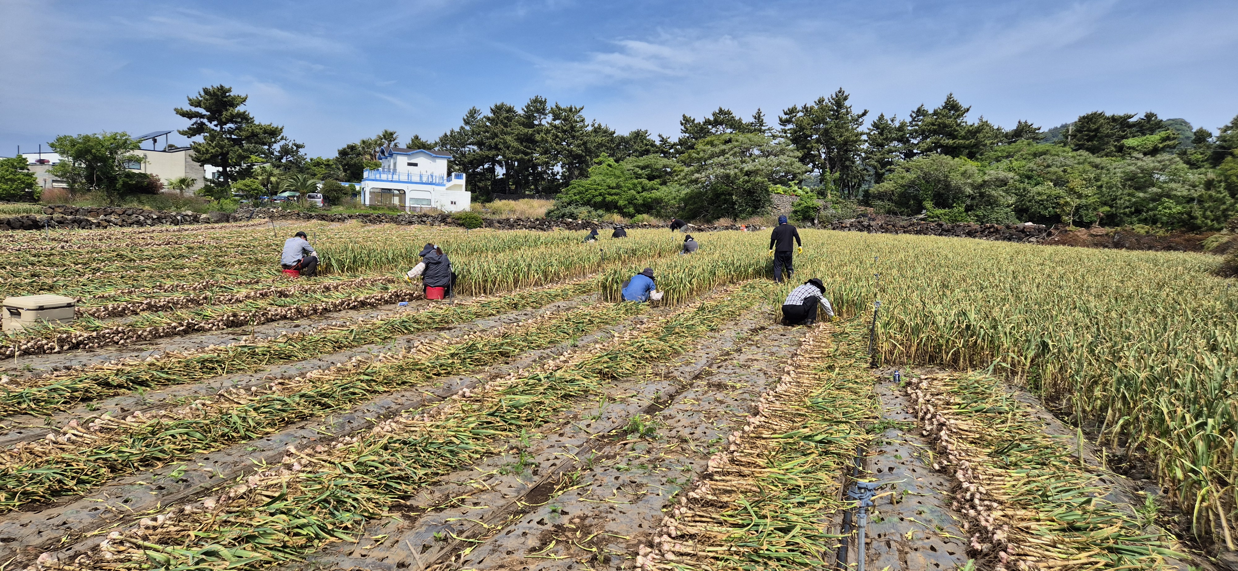 KakaoTalk_20250514_144354534_05.jpg