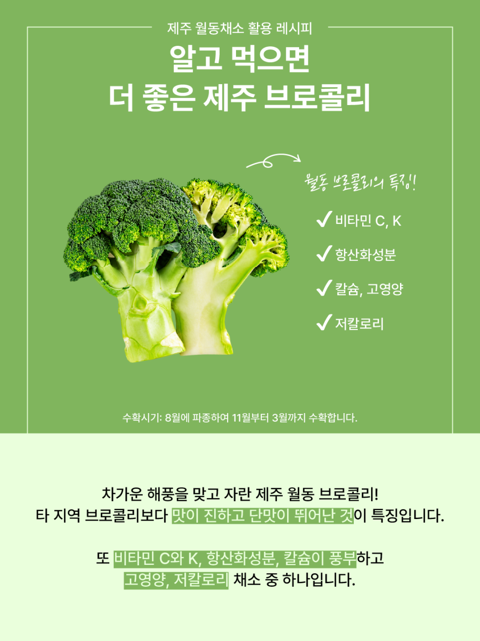 알고 먹으면 더 맛있는 제주 브로콜리