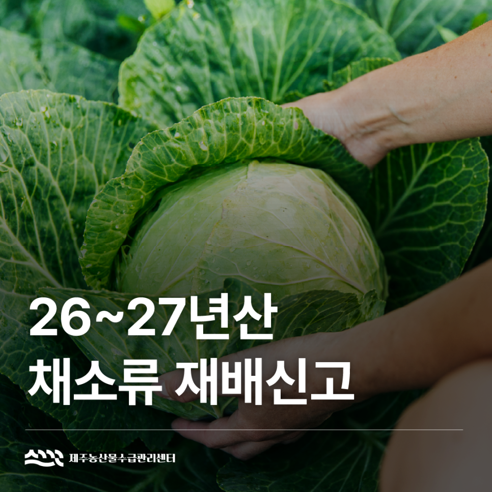 26~27년산 채소류 재배신고