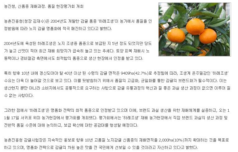 노지감귤 '하례조생' 소비자 입맛 사로잡아