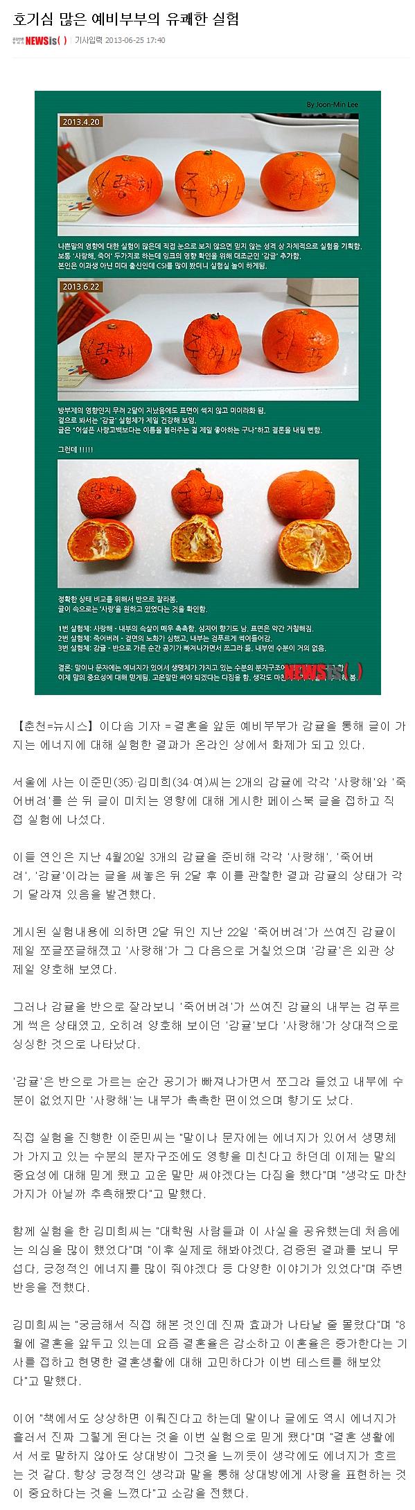 호기심 많은 예비부부의 유쾌한 감귤 실험