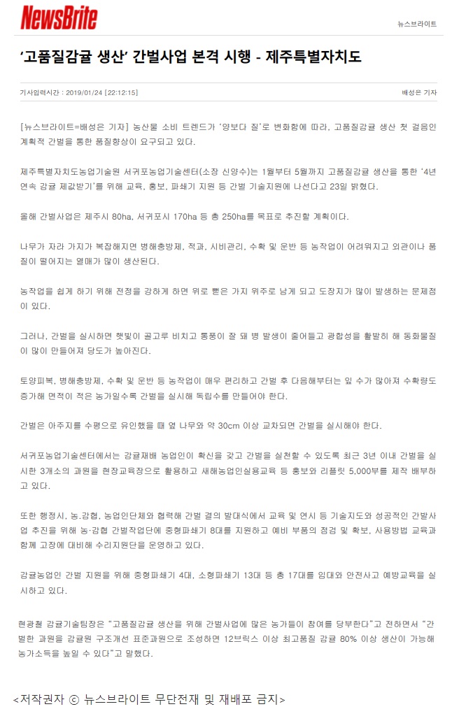 '고품질감귤 생산' 간벌사업 본격 시행 - 제주특별자치도