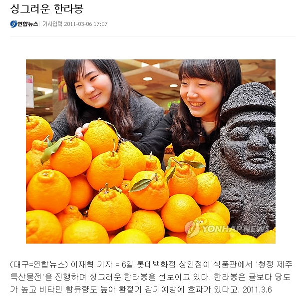 싱그러운 한라봉