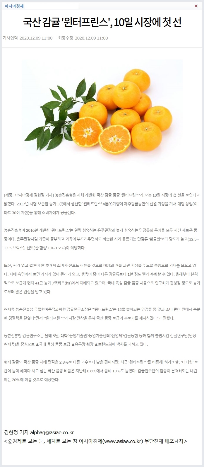 국산 감귤 '윈터프린스', 10일 시장에 첫 선