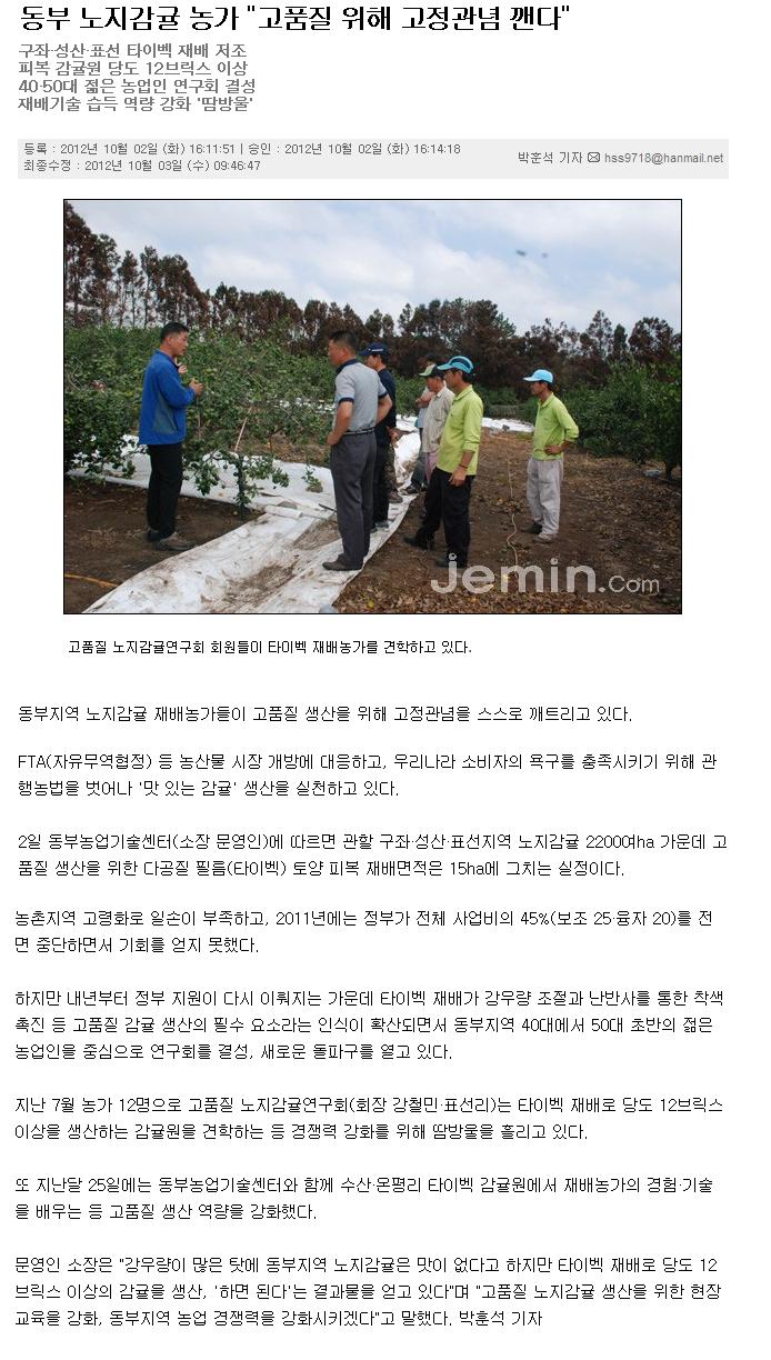 동부 노지감귤 농가 