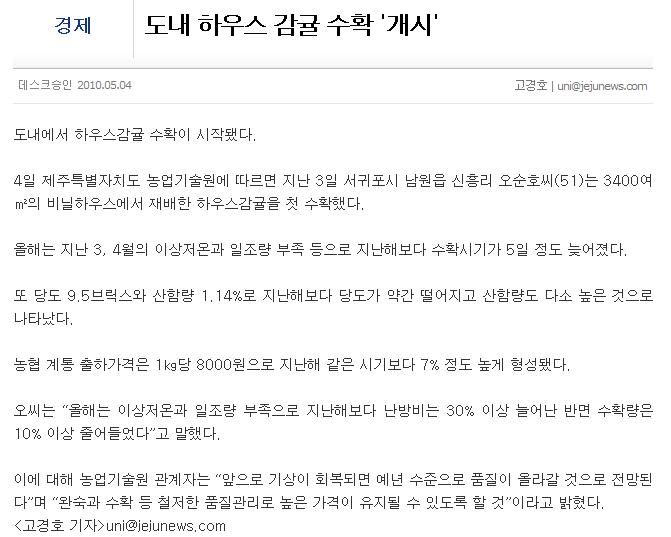 도내 하우스 감귤 수확 '개시'