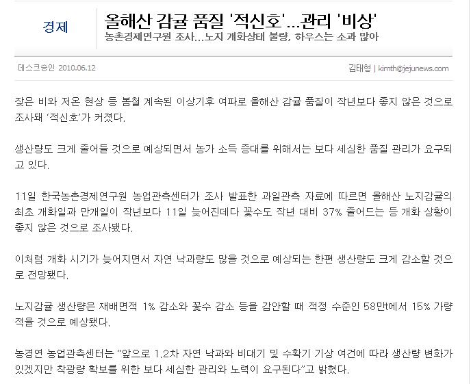올해산 감귤 품질 '적신호'...관리 '비상'