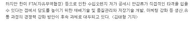 한라봉.천혜향 등 만감류 성장 '짭짤'