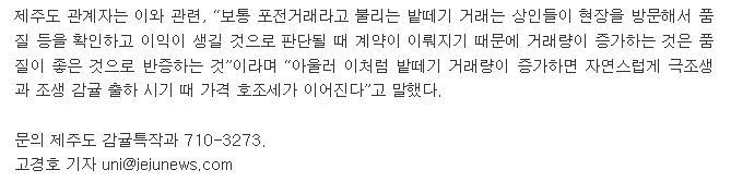 올해 감귤 밭떼기 거래 급증...품질.가격 호조 전망