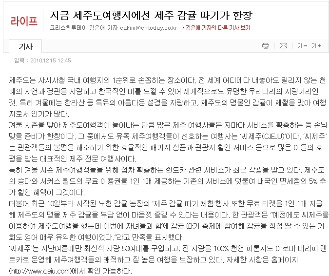 지금 제주도여행지에선 제주 감귤 따기가 한창
