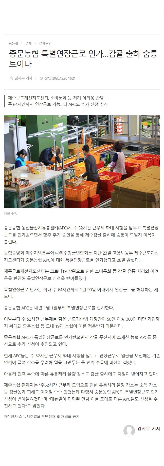 중문농협 특별연장근로 인가…감귤 출하 숨통 트이나