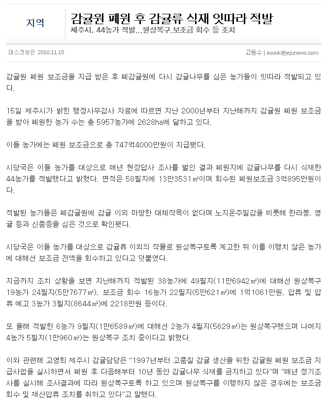 감귤원 폐원 후 감귤류 식재 잇따라 적발