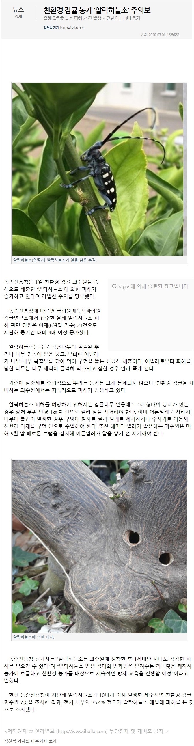 친환경 감귤 농가 